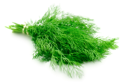 Produce - Herbs - Dill